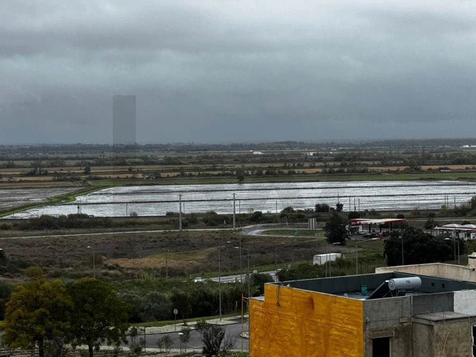 Terreno para Venda em Azambuja Foto 8