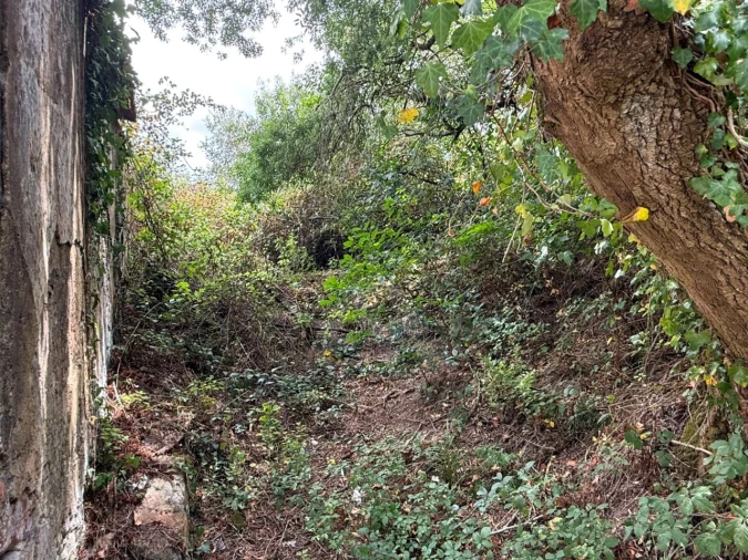 Terreno para Venda em Almargem do Bispo, Pêro Pinheiro e Montelavar Foto 9