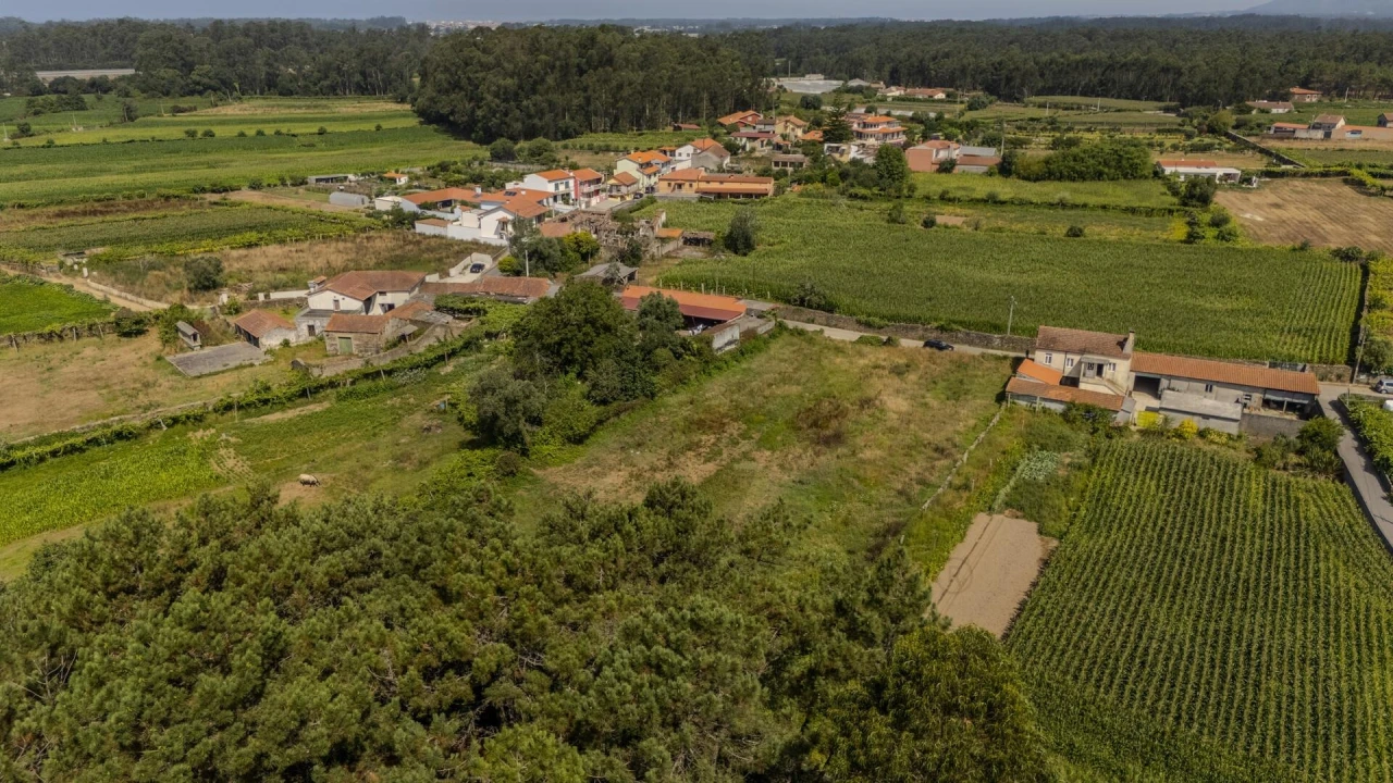 Terreno para Venda em Barqueiros Foto 11