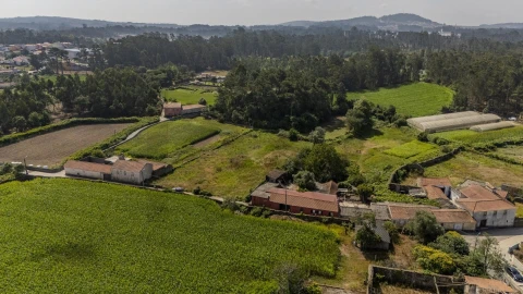 Terreno para Venda em Barqueiros