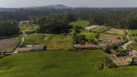 Terreno para Venda em Barqueiros
