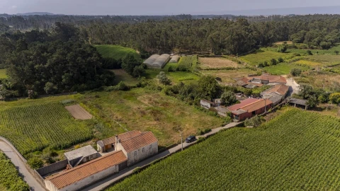 Terreno para Venda em Barqueiros
