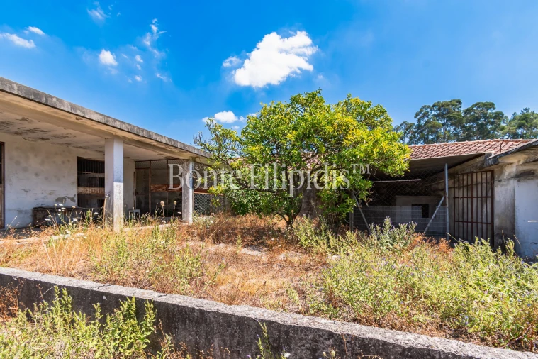 Moradia T3 para Venda em Termas de São Vicente Foto 24