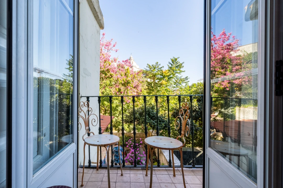 Apartamento T1 para Venda em São Vicente Foto 2