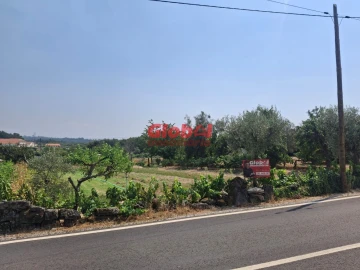 Terreno para Venda em Avelal