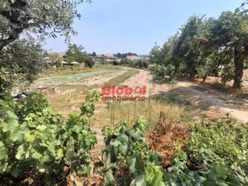 Terreno para Venda em Avelal