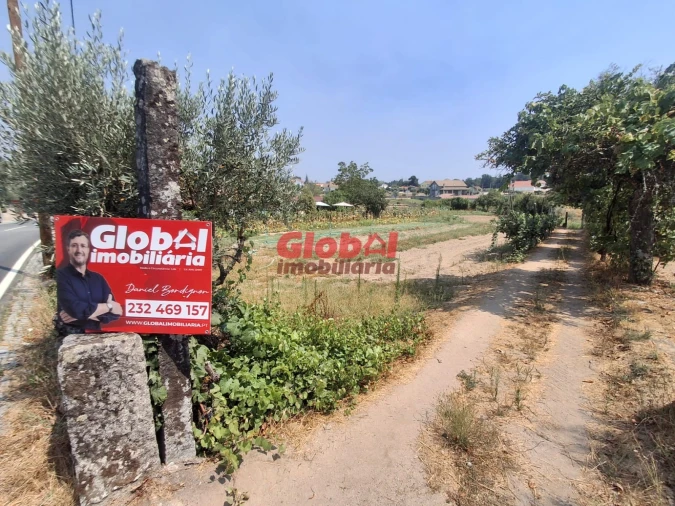 Terreno para Venda em Avelal Foto 4