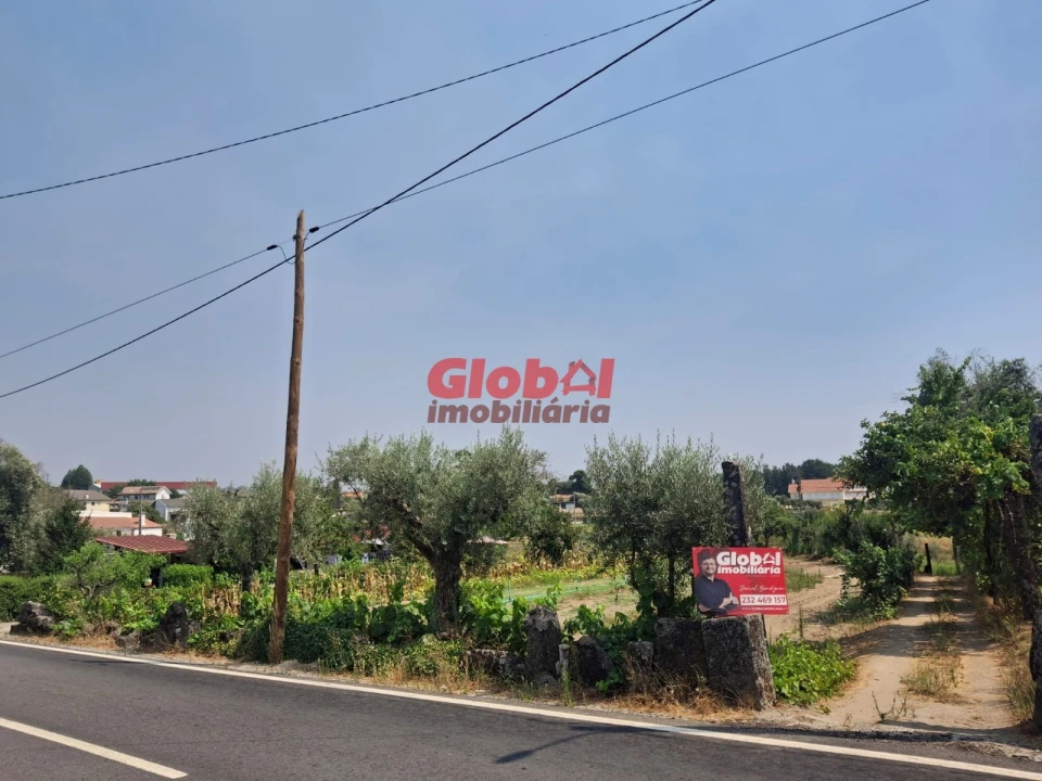 Terreno para Venda em Avelal Foto 1