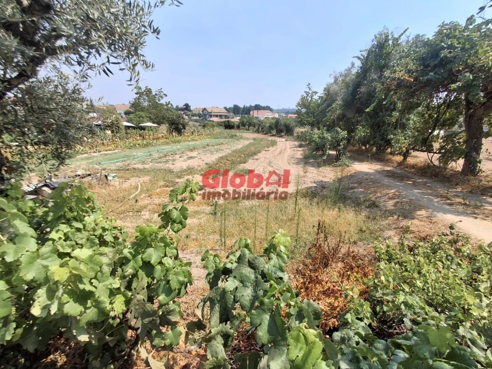 Terreno para Venda em Avelal Foto 5
