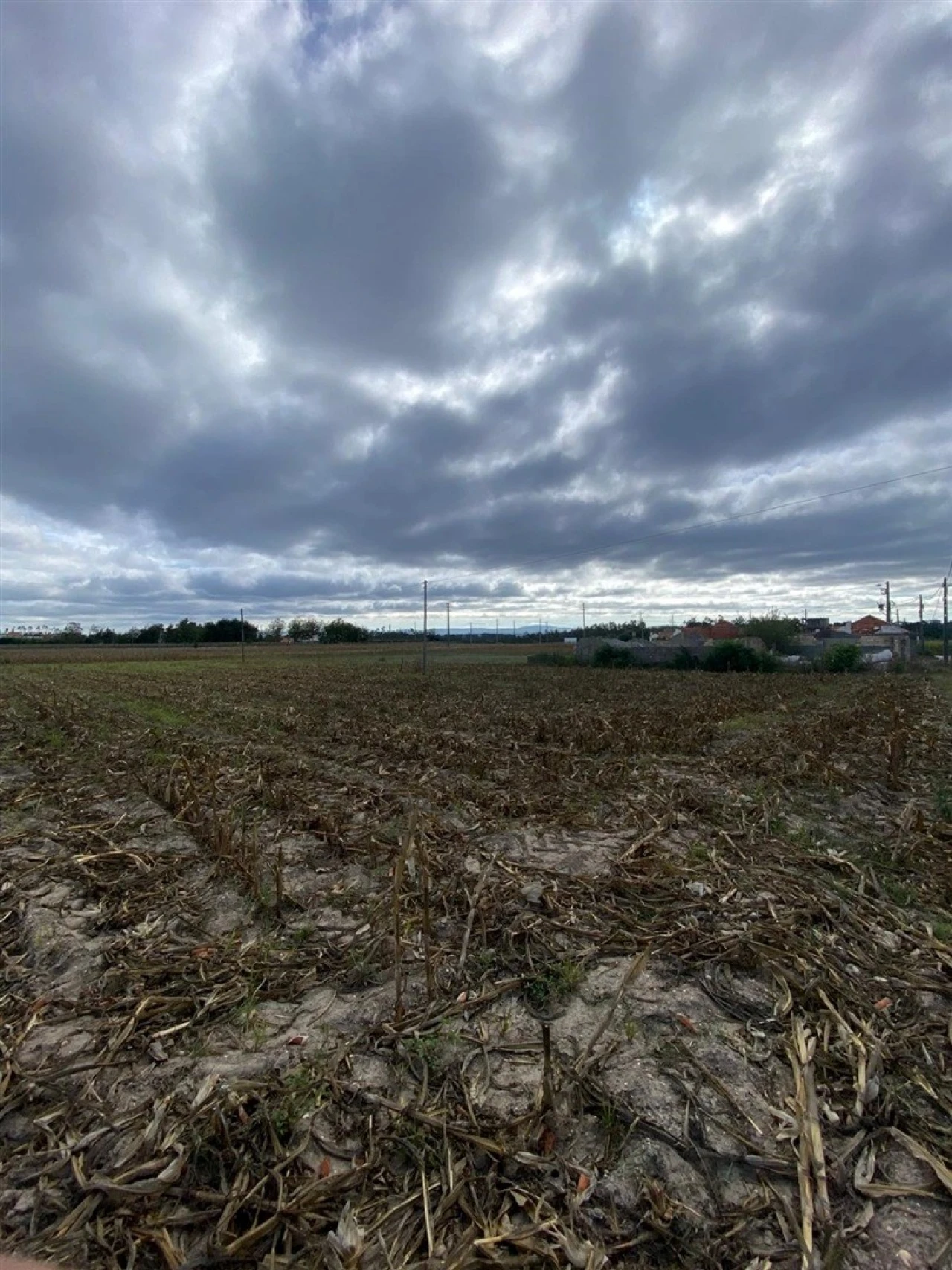 Terreno para Venda em Louriçal Foto 9