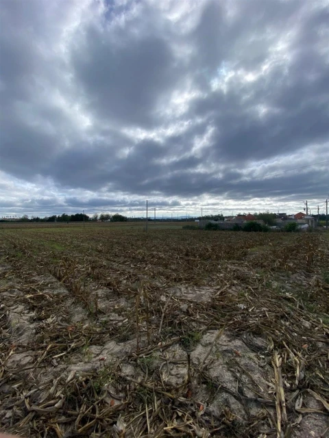 Terreno para Venda em Louriçal