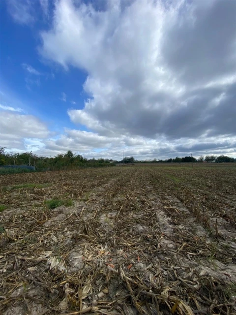 Terreno para Venda em Louriçal