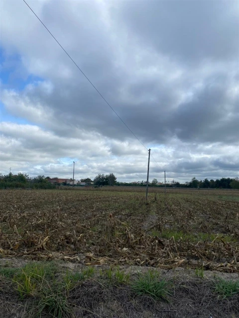 Terreno para Venda em Louriçal
