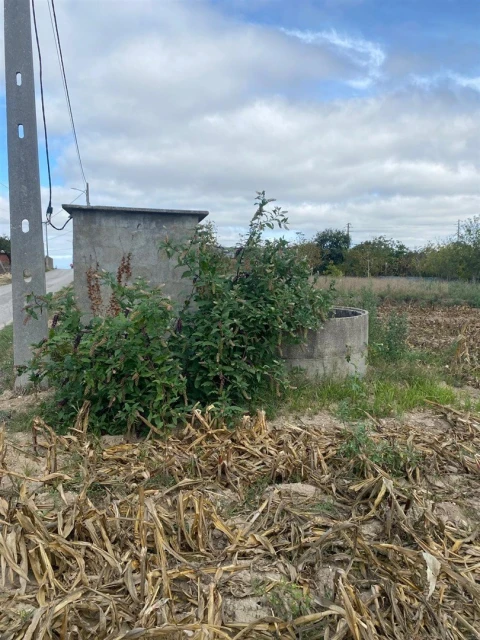Terreno para Venda em Louriçal
