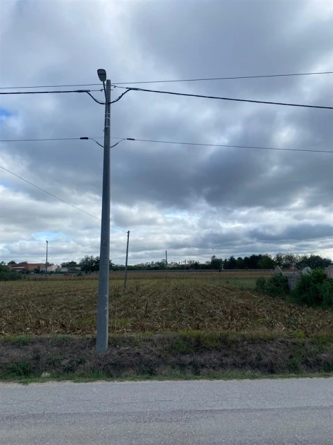 Terreno para Venda em Louriçal