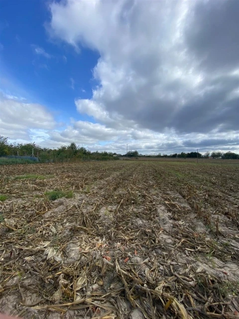 Terreno para Venda em Louriçal