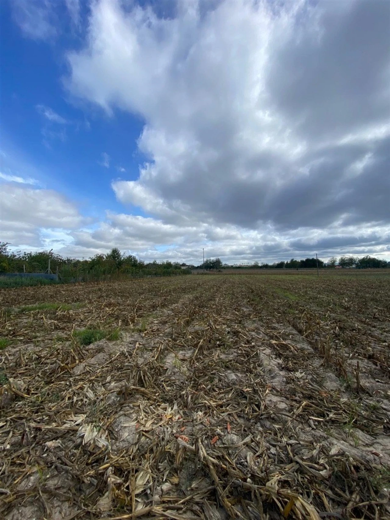 Terreno para Venda em Louriçal Foto 7