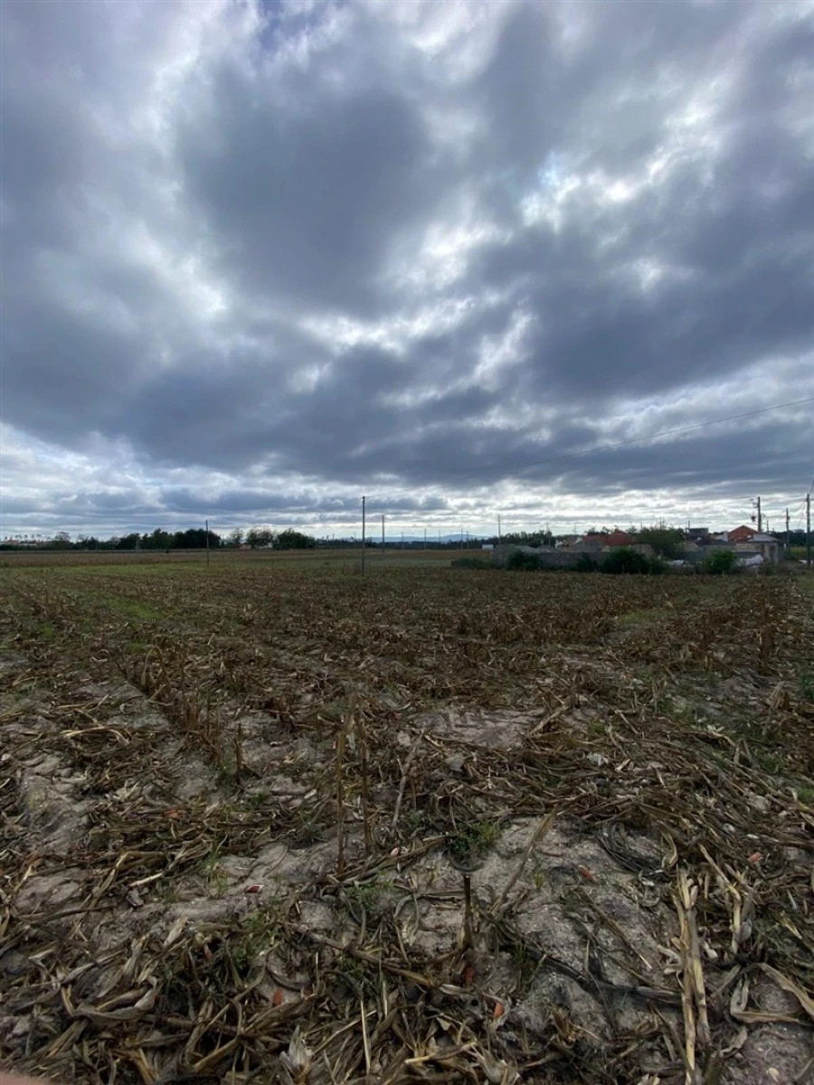 Terreno para Venda em Louriçal Foto 9