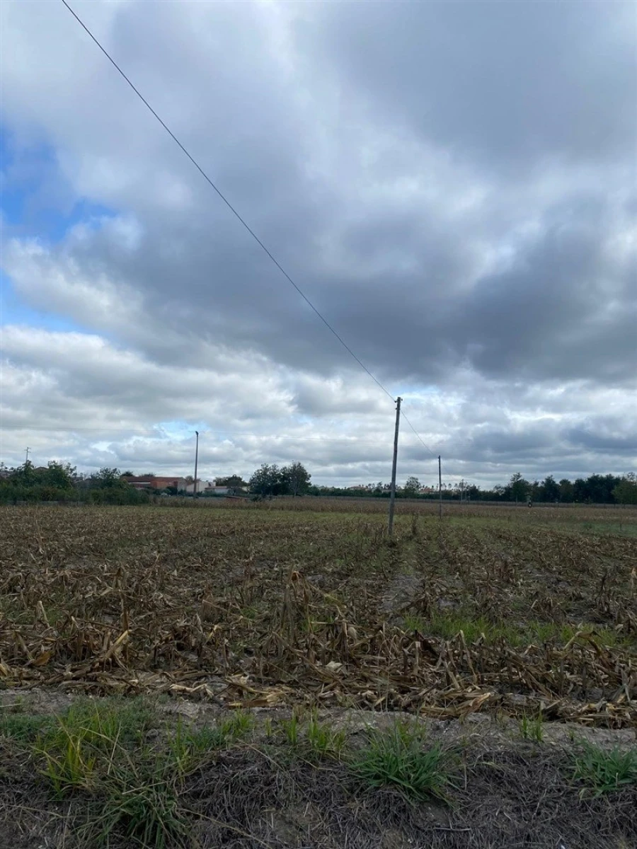 Terreno para Venda em Louriçal Foto 10