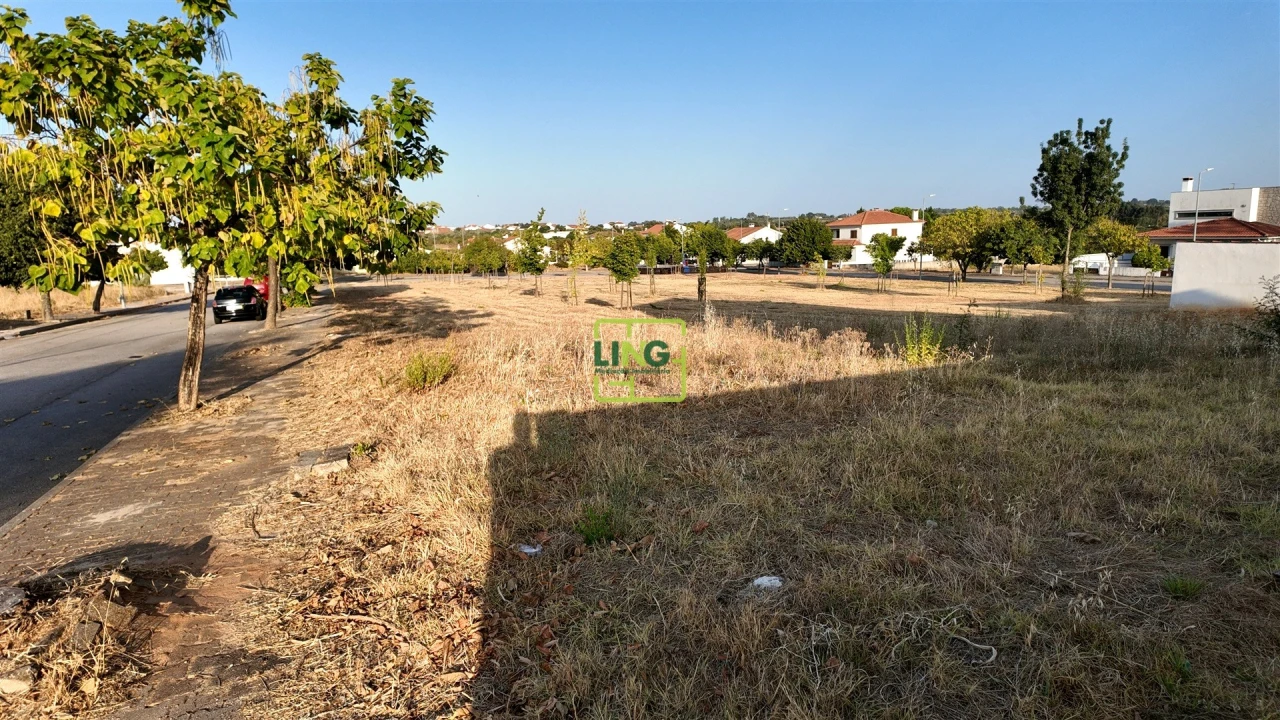 Terreno para Venda em Lardosa Foto 4