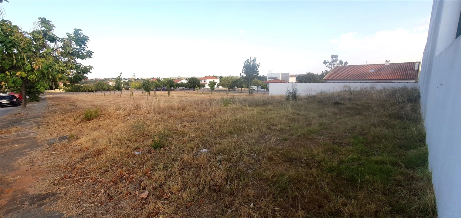 Terreno para Venda em Lardosa Foto 6