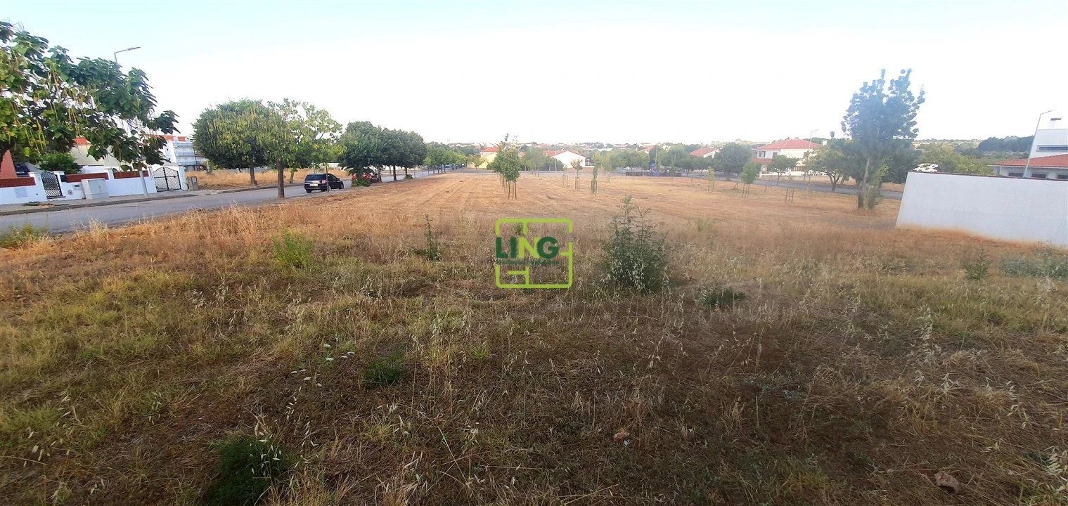 Terreno para Venda em Lardosa Foto 10