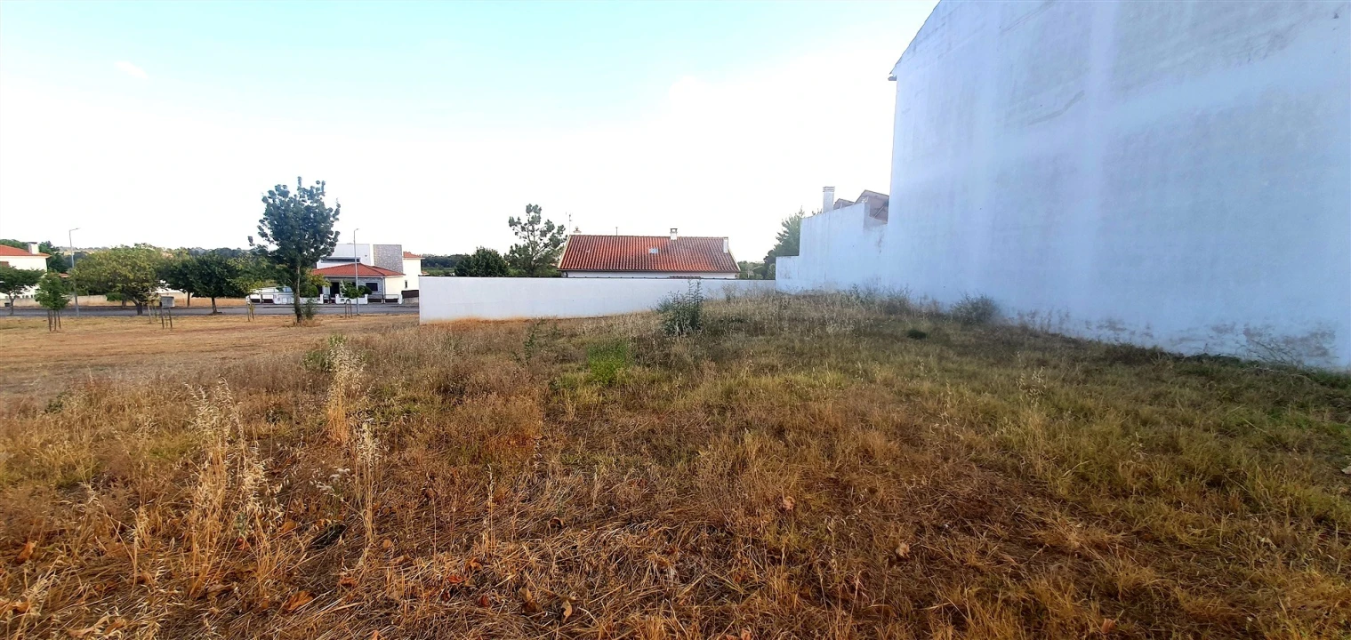 Terreno para Venda em Lardosa Foto 9