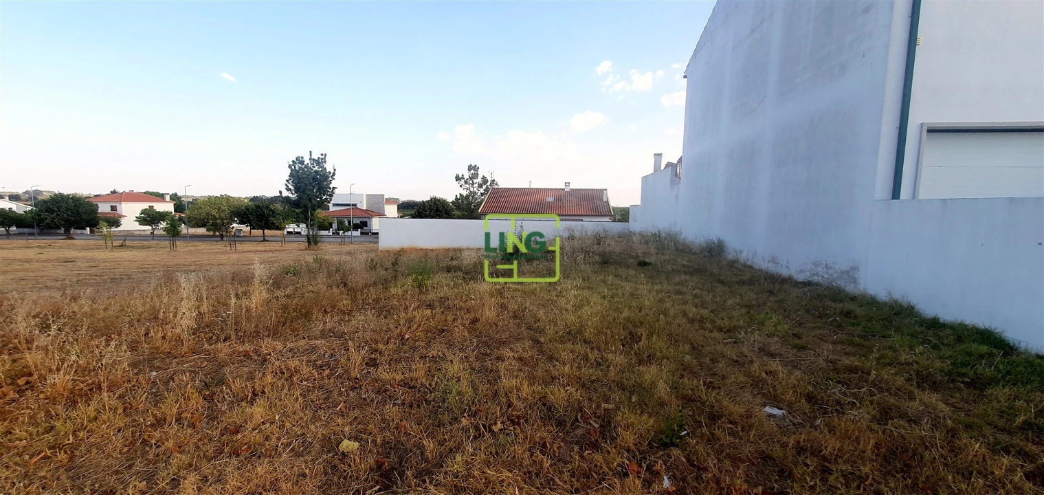 Terreno para Venda em Lardosa Foto 7