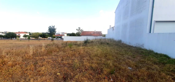 Terreno para Venda em Lardosa