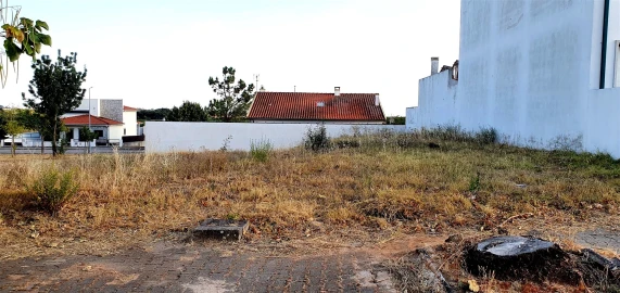 Terreno para Venda em Lardosa
