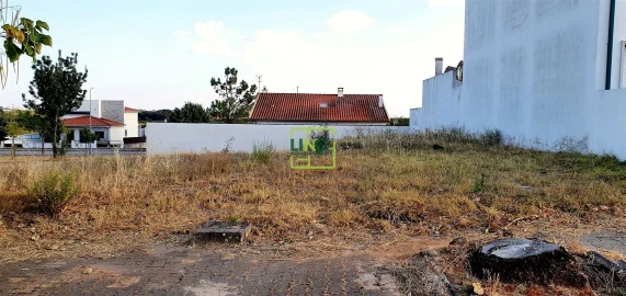Terreno para Venda em Lardosa