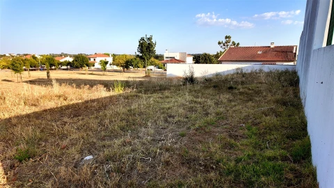 Terreno para Venda em Lardosa