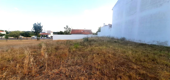 Terreno para Venda em Lardosa