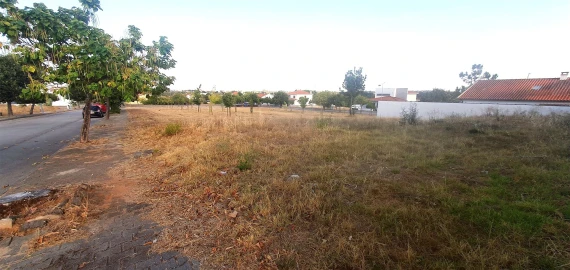 Terreno para Venda em Lardosa