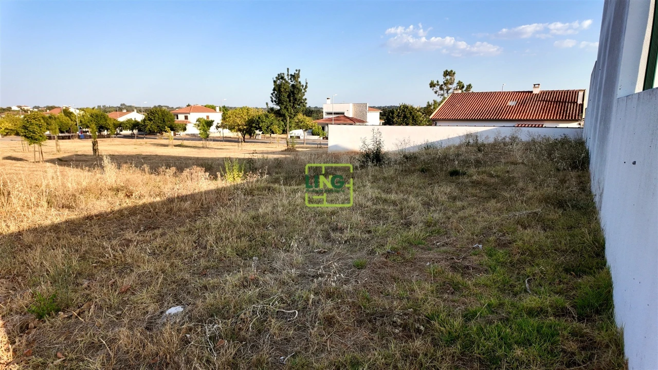 Terreno para Venda em Lardosa Foto 2