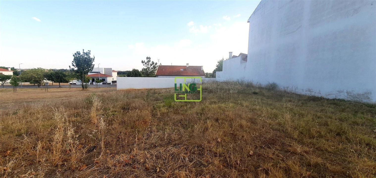 Terreno para Venda em Lardosa Foto 9