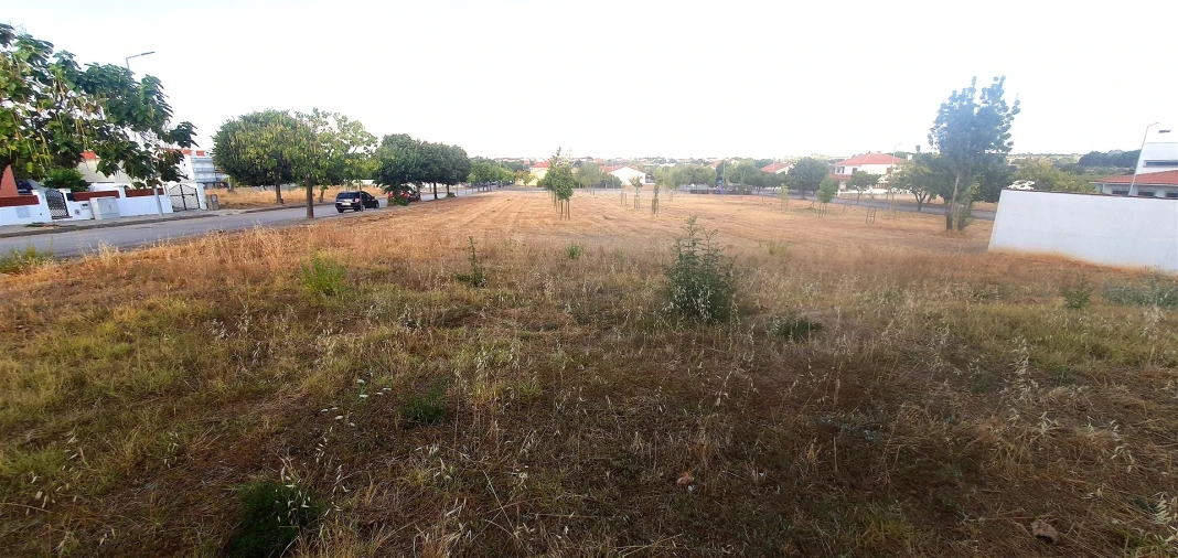 Terreno para Venda em Lardosa Foto 10
