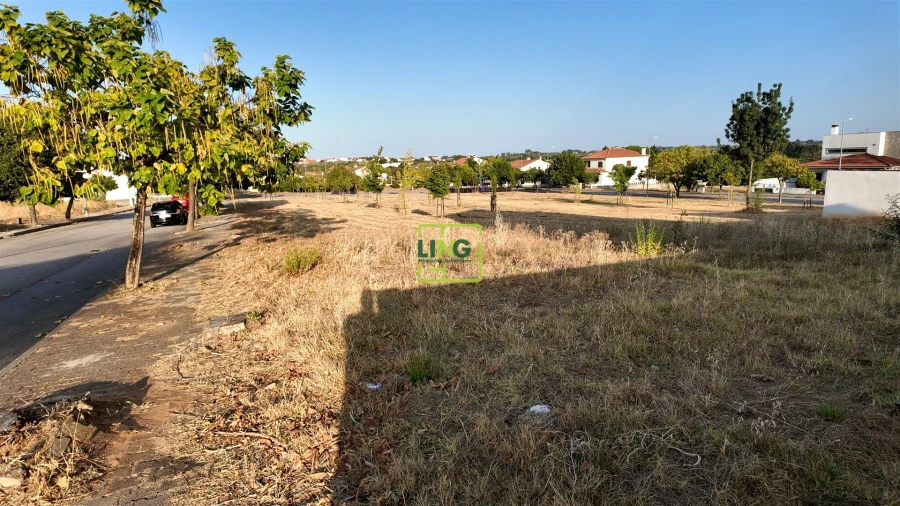 Terreno para Venda em Lardosa Foto 4