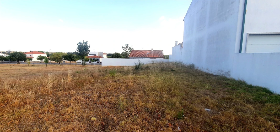 Terreno para Venda em Lardosa Foto 8
