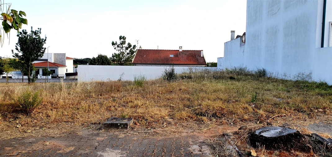 Terreno para Venda em Lardosa Foto 12
