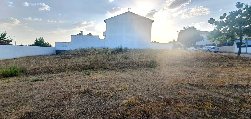 Terreno para Venda em Lardosa Foto 11