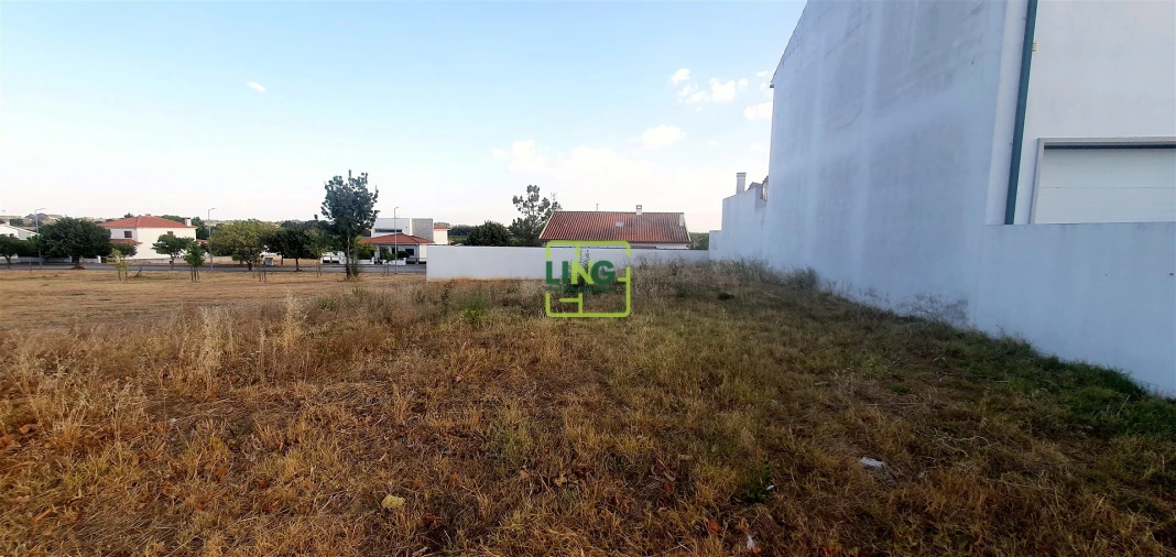 Terreno para Venda em Lardosa Foto 7