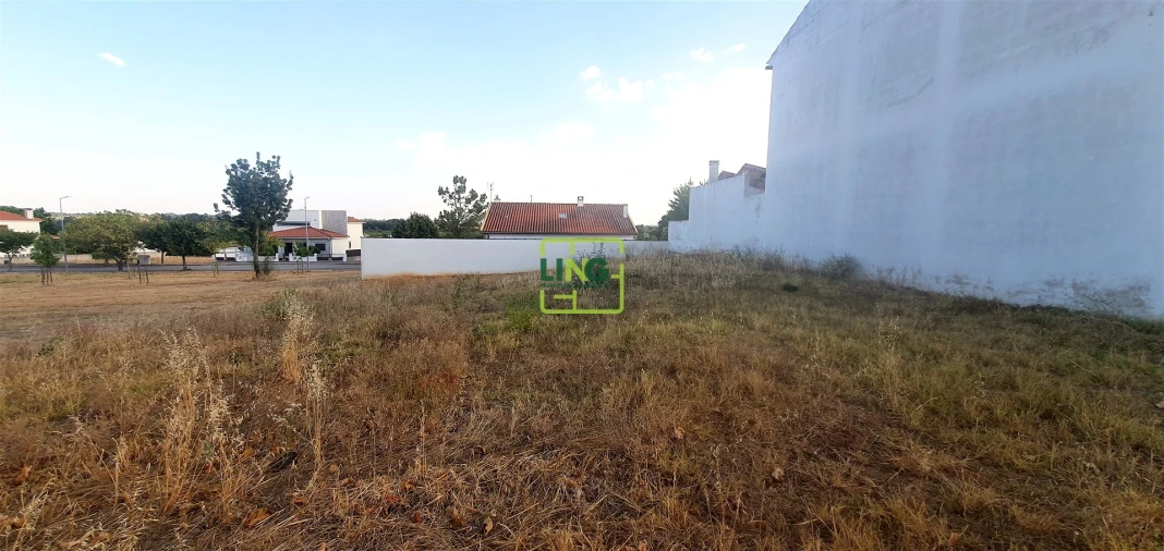 Terreno para Venda em Lardosa Foto 9