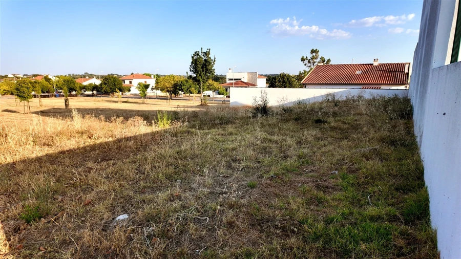 Terreno para Venda em Lardosa Foto 3