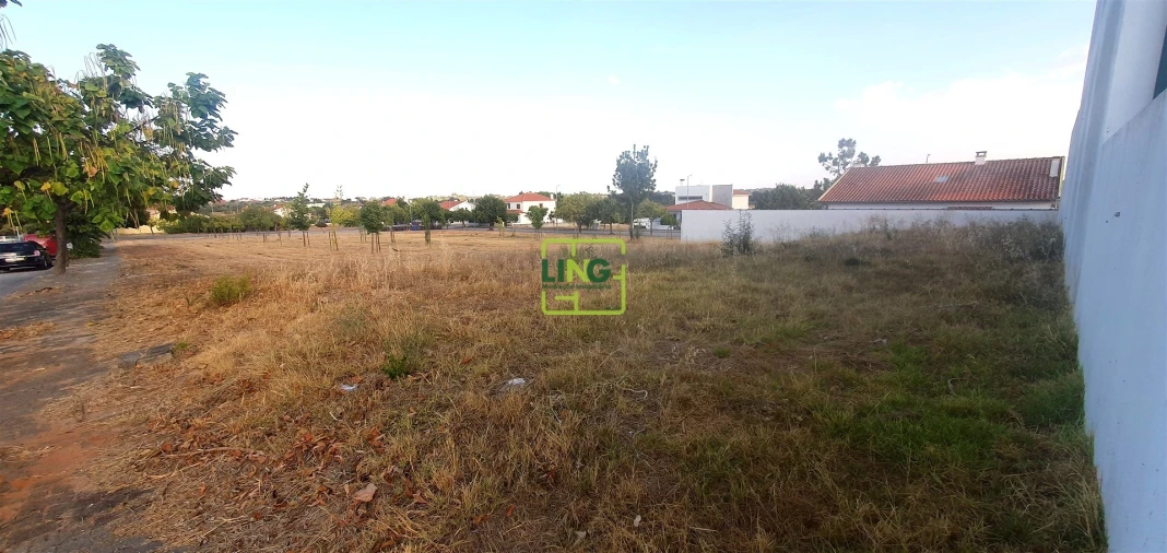 Terreno para Venda em Lardosa Foto 6