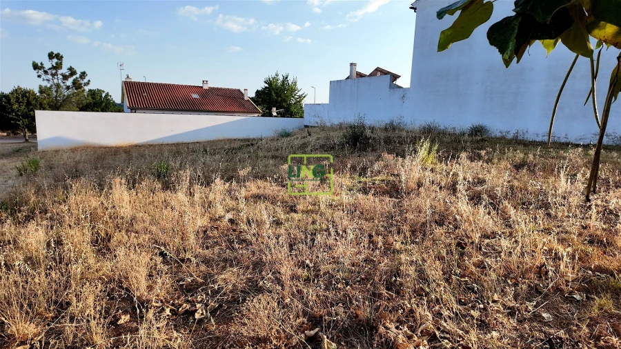 Terreno para Venda em Lardosa Foto 3