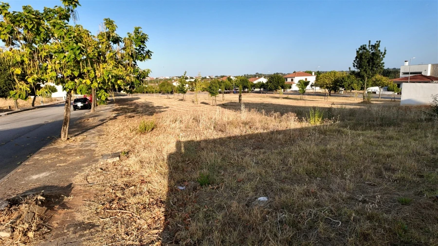 Terreno para Venda em Lardosa Foto 2