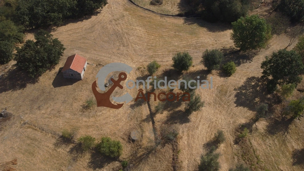 Quinta T0 para Venda em Ribamondego Foto 25