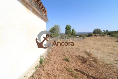 Quinta T0 para Venda em Ribamondego