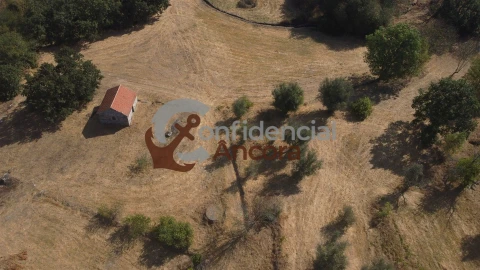 Quinta T0 para Venda em Ribamondego